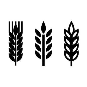 Vector black wheat ear spica icons set Stock Illustration