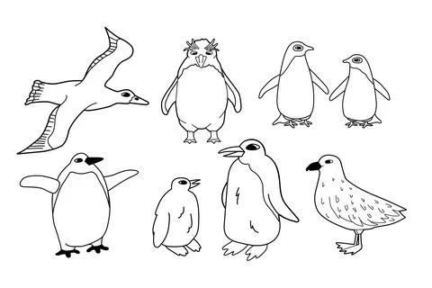 Vector black white line set of isolated animals in Antarctica. Hand drawn Stock Illustration