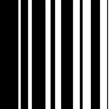 Vector black white seamless pattern Stock Illustration