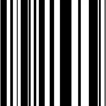 Vector black white seamless pattern Stock Illustration