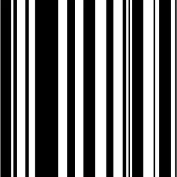 Vector black white seamless pattern Stock Illustration