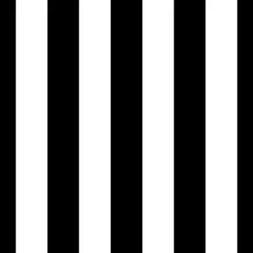 Vector black white seamless pattern Stock Illustration