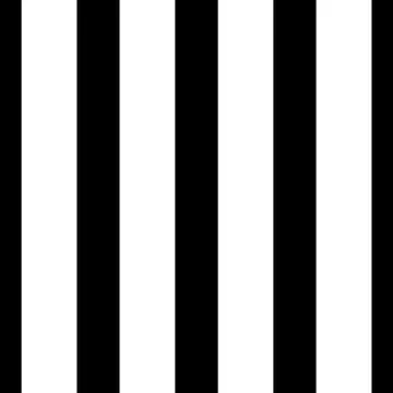 Vector black white seamless pattern Stock Illustration