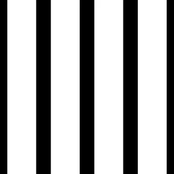 Vector black white seamless pattern Stock Illustration