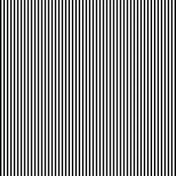 Vector black white seamless pattern Stock Illustration