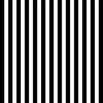 Vector black white seamless pattern Stock Illustration