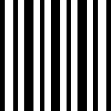 Vector black white seamless pattern Stock Illustration
