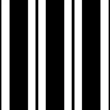 Vector black white seamless pattern Stock Illustration