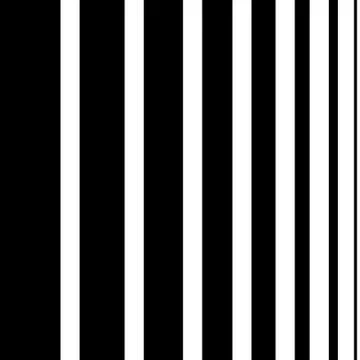 Vector black white seamless pattern Stock Illustration