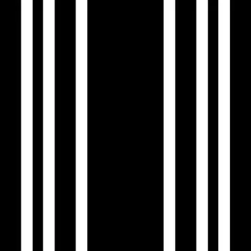 Vector black white seamless pattern Illustrazione stock
