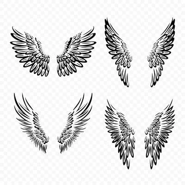 Vector Black Wing Icon Set. Vintage Angel Wings, Icons, Design Template, Clipart Stock Illustration