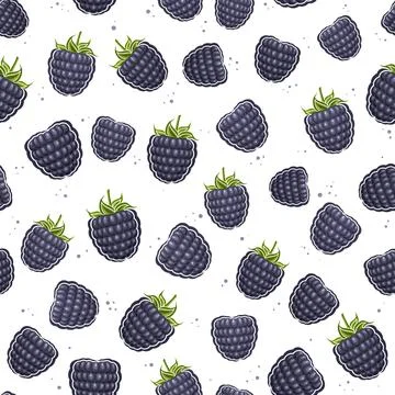 Vector Blackberry Seamless Pattern Stock Illustration
