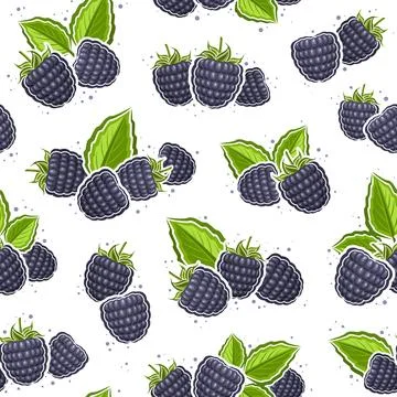 Vector Blackberry Seamless Pattern Stock Illustration
