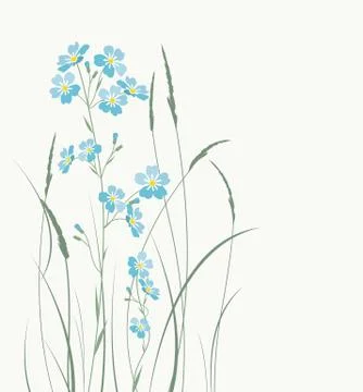 Vector blue forget me not flowers Stock Illustration