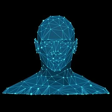 Vector blue polygonal wireframe, biometric technology digital face scanning Stock Illustration