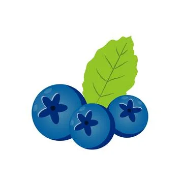 Vector blueberries with mint leaves isolated on white background. Stock Illustration