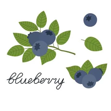 Vector blueberry, flat design Stock Illustration