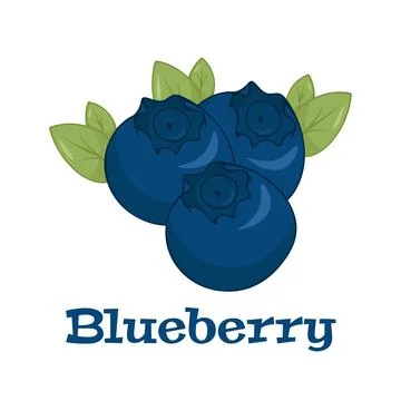 Vector blueberry icon. Flat cartoon illustration on a white background. Stock Illustration
