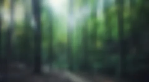 Vector blurred background of forest and trees Stock Illustration