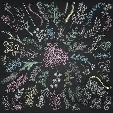 Vector Board Menu Hand Sketched Rustic Floral Branches Stock Illustration