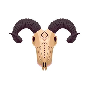 Vector boho animal skull. Mystical illustration in flat style Stock-Illustration