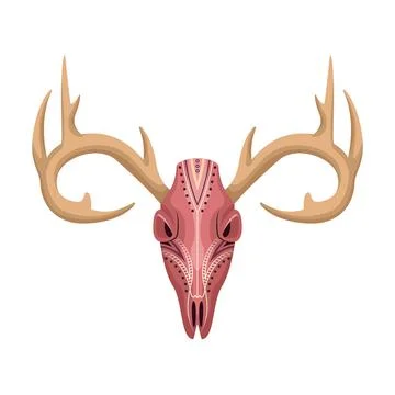 Vector boho animal skull. Mystical illustration in flat style Stock Illustration