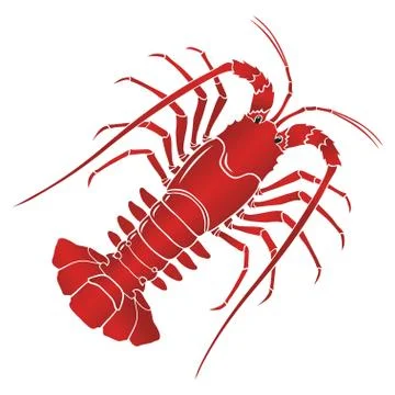 Vector boiled spiny or rock lobster Stock Illustration