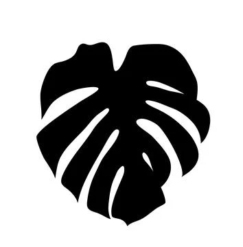 Vector Bold black exotic silhouette of a monstera deliciosa leaf, capturing the Stock Illustration