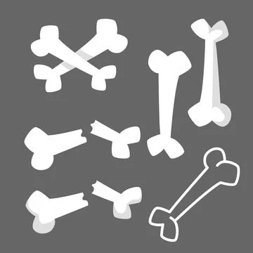 Vector bone, flat design, for animals, broken bone, line arn bones Stock-Illustration