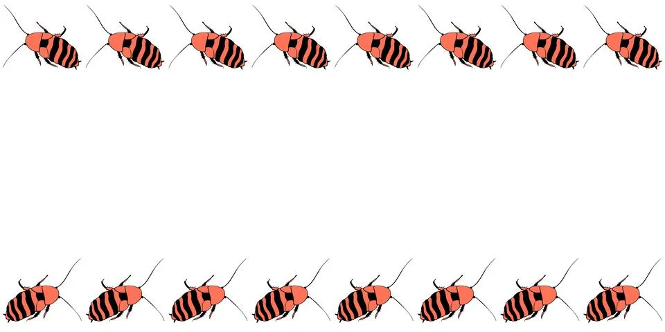 Vector border, frame from russet madagascar cockroaches in doodle flat style. Illustrazione stock