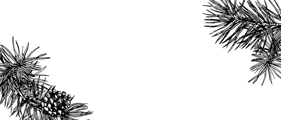 Vector border template for christmas or winter holidays. Outline sketch in Stock Illustration