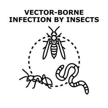 Vector borne infection concept with disease carrying insects Stock Illustration
