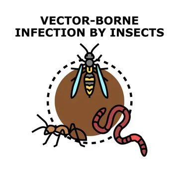 Vector borne infection concept with disease carrying insects Stock Illustration