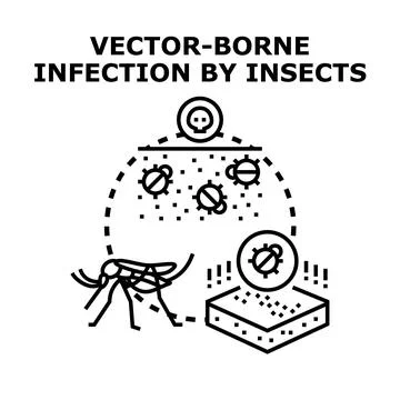 Vector borne infection by insects transmitting pathogens Stock Illustration