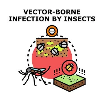Vector borne infection by insects transmitting pathogens Stock Illustration
