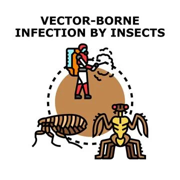 Vector borne infection preventing disease from insects Stock Illustration