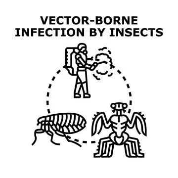 Vector borne infection preventing disease from insects Stock Illustration