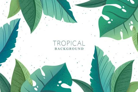 Vector botanical background with green trendy exotic palm and monstera leaves Stock Illustration