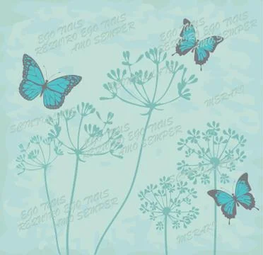 Vector Botanical Flowers Stock Illustration