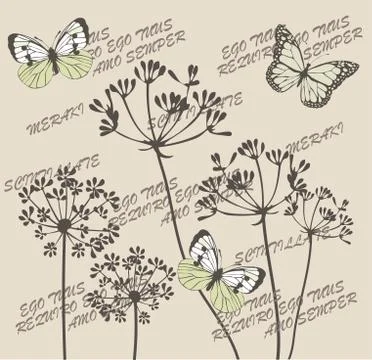 Vector Botanical Flowers Stock Illustration