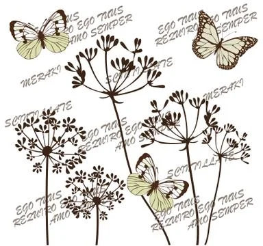 Vector Botanical Flowers Stock Illustration