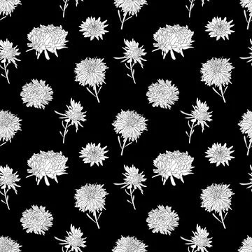 Vector botanical hand drawn monochrome line art pattern of asters flowers Stock Illustration