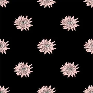 Vector botanical hand drawn pattern of asters flowers, daisies Stock Illustration