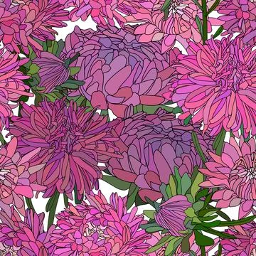 Vector botanical hand drawn pattern of asters flowers, daisies Stock Illustration