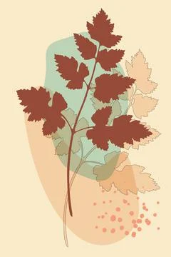 Vector botanical poster, minimalistic boho style, leaves branch, abstract shapes Stock Illustration