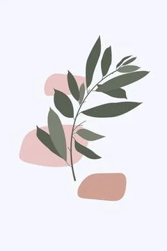 Vector botanical poster, minimalistic boho style, hand drawn design, olive Stock Illustration