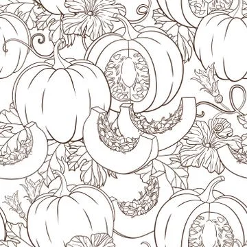 Vector botanical seamless pattern with pumpkins, flowers and leaves Stock Illustration