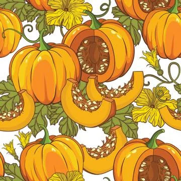 Vector botanical seamless pattern with pumpkins, flowers and leaves Stock Illustration