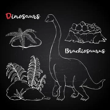 Vector Brachiosaurus with plant and stone on chalk blackboard. Stock Illustration