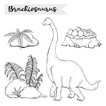 Vector Brachiosaurus with plant and stone isolated Stock Illustration